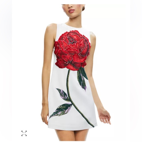 Alice + Olivia by Stacey Bendet White Mini Dress with Red Floral Design - Picture 2 of 13